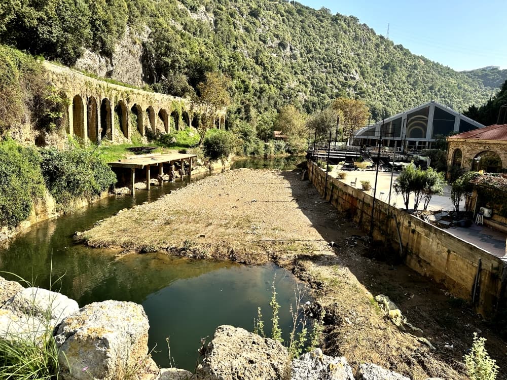 Damour restoration