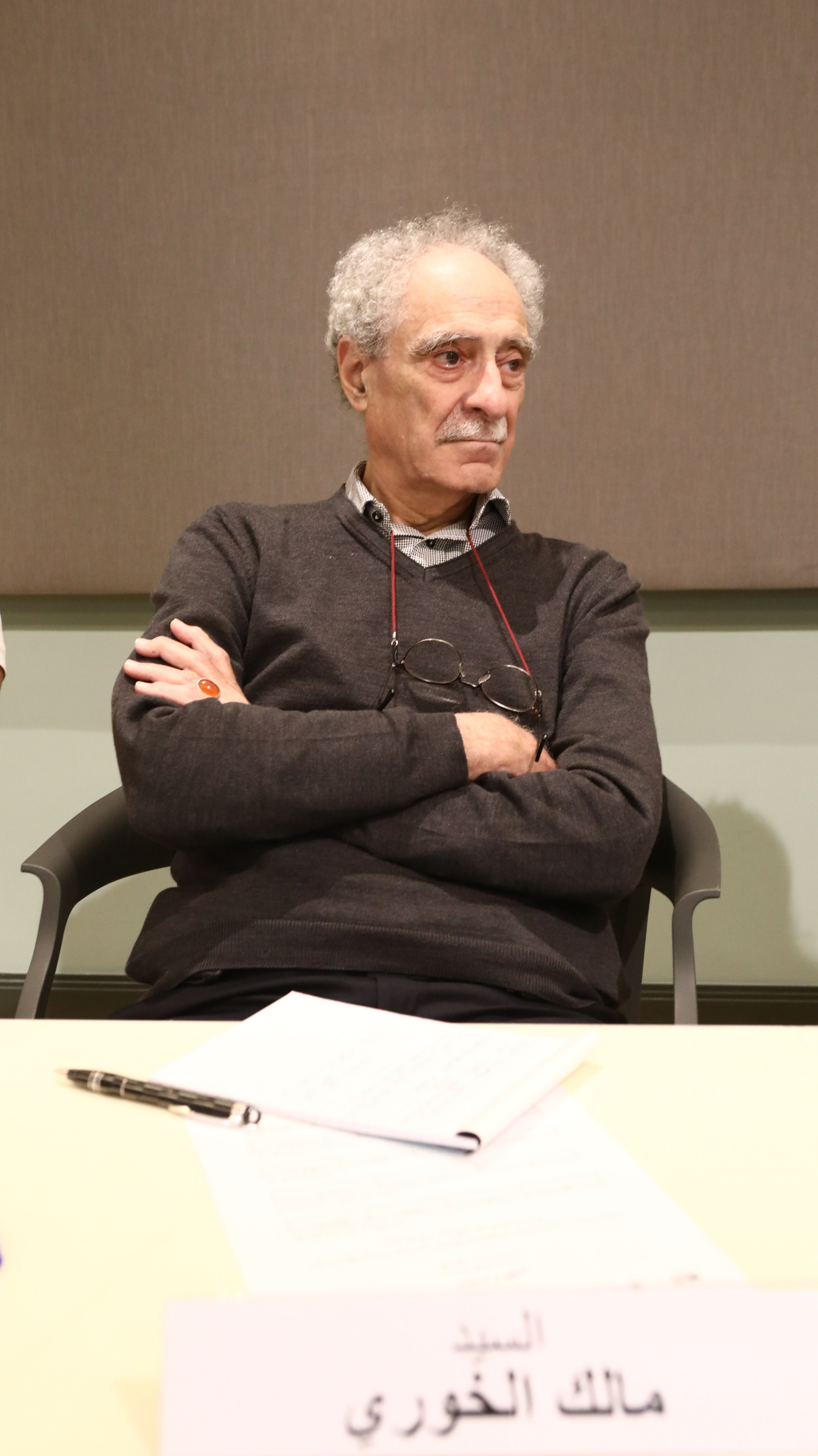 Senior expert in discussion